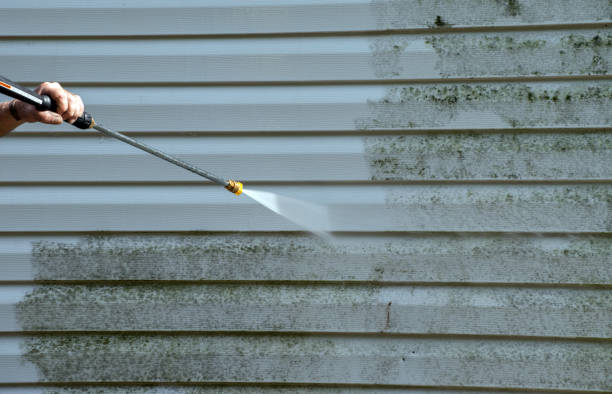 Best Fence Cleaning  in Santa Ynez, CA